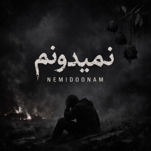 دانلود آهنگ جدید تاکسیک با عنوان نمیدونم